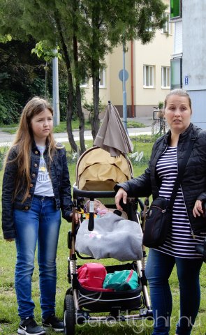 Életfát ültettünk 07